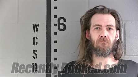 Recent Mugshot Image for SHAWN MCCULLUM in White County, Indiana