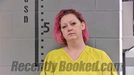 Recent Mugshot Image for ASHLY PHILO in White County, Indiana