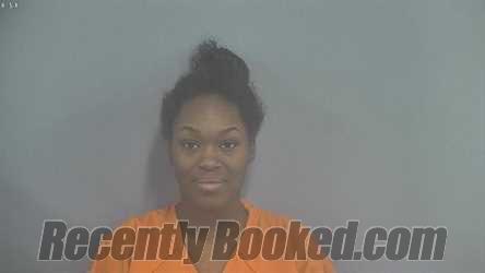 Recent Mugshot Image for PROMIZE ERYANNA LAMEA JOHNSON in Whitley County, Indiana