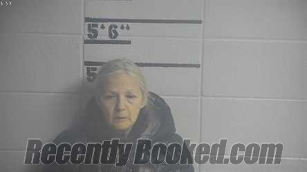 Recent Mugshot Image for ANZHELIKA MILLER in Adair County, Kentucky