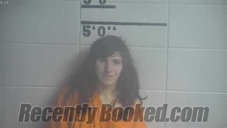 Recent Mugshot Image for COURTNEY R VANN in Adair County, Kentucky
