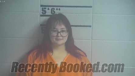 Recent Mugshot Image for DIANNA JADE HARRISON in Adair County, Kentucky