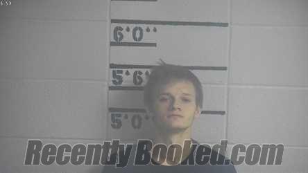 Recent Mugshot Image for DEVIN MIKAL KAYLOR in Adair County, Kentucky