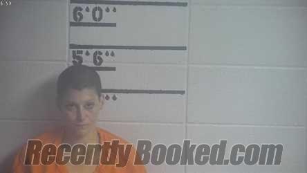 Recent Mugshot Image for DIANA R SADDISON in Adair County, Kentucky