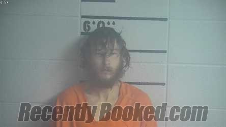 Recent Mugshot Image for MICHAEL D WEBB in Adair County, Kentucky