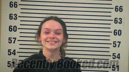 Recent Mugshot Image for ALEXIS PETE in Allen County, Kentucky
