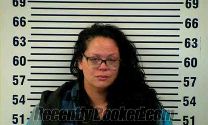 Recent Mugshot Image for ASHLEY WARD in Allen County, Kentucky