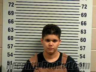 Recent Mugshot Image for DANIELLE L TUCCI in Allen County, Kentucky