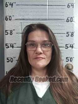 Recent Mugshot Image for APRIL HALL in Ballard County, Kentucky