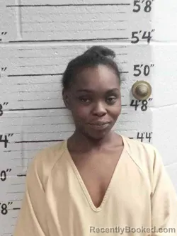 Recent Mugshot Image for CIERRA NELSON in Ballard County, Kentucky