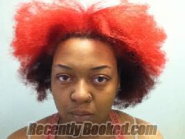 Recent Booking / Mugshot for LYDIA ANELL LEAK in Lee County, North Carolina