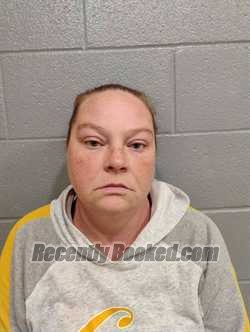 Recent Mugshot Image for JESSICA AKERS in Barren County, Kentucky