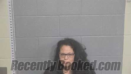 Recent Mugshot Image for ASHLEY WARD in Barren County, Kentucky