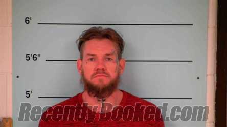 Recent Mugshot Image for KELLY BLACK in Bourbon County, Kentucky