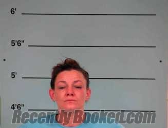 Recent Mugshot Image for AMANDA FANNIN in Bourbon County, Kentucky