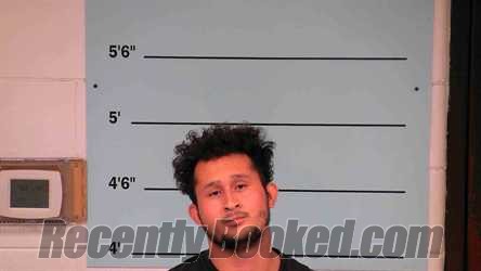 Recent Mugshot Image for WILFREDO ALVARES NONTES in Bourbon County, Kentucky