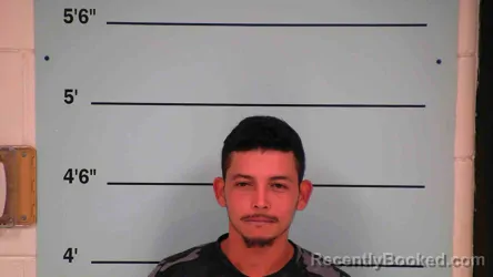 Recent Mugshot Image for TULIO CARDONA-SEVILLA in Bourbon County, Kentucky