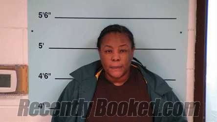 Recent Mugshot Image for NARVELLA MITCHELL in Bourbon County, Kentucky