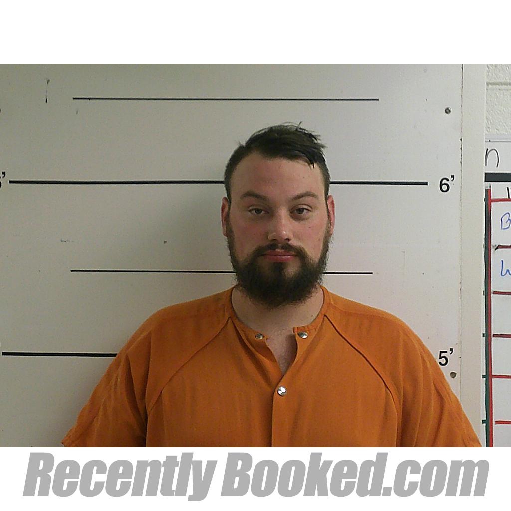 Recent Mugshot Image for DYLAN JACOB HENLEY in Boyd County, Kentucky