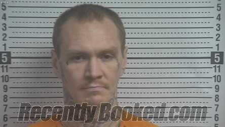 Recent Mugshot Image for DANNY PATTERSON MOSES in Boyle County, Kentucky