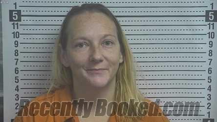 Recent Mugshot Image for JORDAN J ATKINS in Boyle County, Kentucky