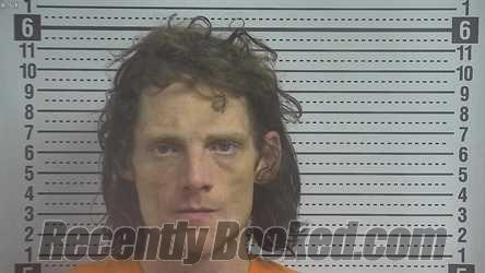 Recent Mugshot Image for WILLIAM HAROLD TODD in Boyle County, Kentucky