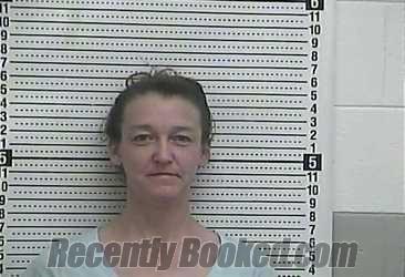 Recent Mugshot Image for AMANDA D BULLOCK in Casey County, Kentucky