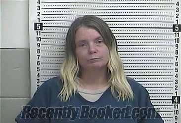 Recent Mugshot Image for ANGELA H GAINES in Casey County, Kentucky