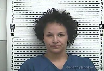 Recent Mugshot Image for CASSIE M KING in Casey County, Kentucky