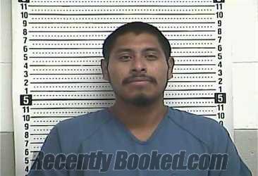 Recent Mugshot Image for DAVID M MEJIA- MENDEZ in Casey County, Kentucky