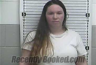 Recent Mugshot Image for MANDY DOWNEY in Casey County, Kentucky