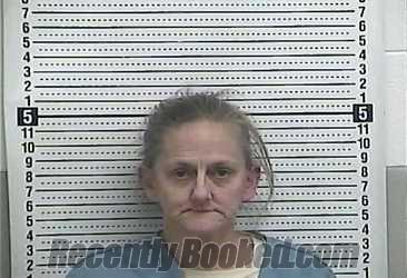 Recent Mugshot Image for SUSAN STOVER in Casey County, Kentucky