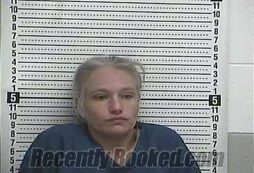 Recent Mugshot Image for WHITTNEI M PUCKETT in Casey County, Kentucky