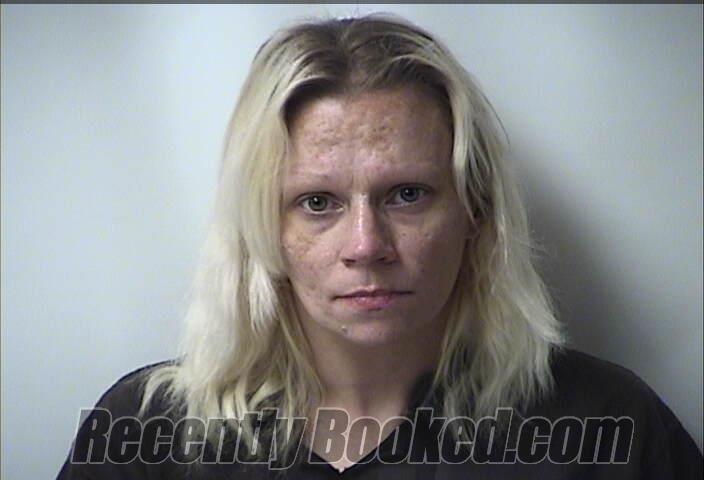 Recent Booking / Mugshot for REBECCA LYNN MATHIS in Christian County ...