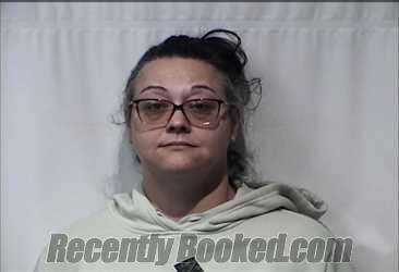 Recent Mugshot Image for TAMI-MAE HADDOCK in Christian County, Kentucky
