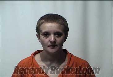 Recent Mugshot Image for BRITTNEY WELENA D.ANN WAGES in Christian County, Kentucky