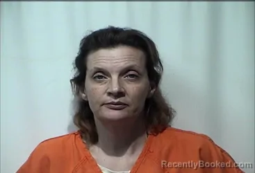 Recent Mugshot Image for MELISSA ANNE MITCHELL in Christian County, Kentucky