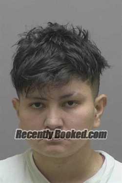 Recent Mugshot Image for ADA GUDELIA SANTOS in Lincoln County, North Carolina