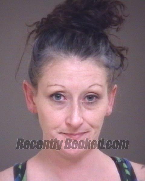 Recent Mugshot Image for MISTY NICHOLE GILROY in Lincoln County, North Carolina