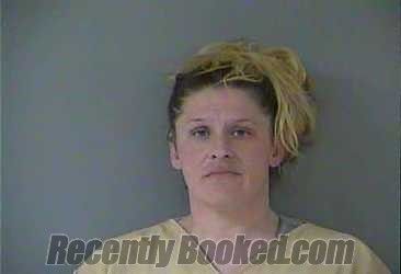 Recent Mugshot Image for Amanda Hammons in Crittenden County, Kentucky
