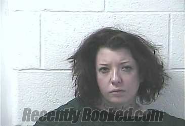 Recent Mugshot Image for DANIELLE FRENCH WILLIAMS in Daviess County, Kentucky