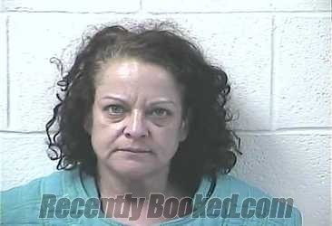 Recent Mugshot Image for KELLY JEAN CUNNINGHAM in Daviess County, Kentucky