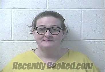 Recent Mugshot Image for LIDDIE ALISHA NICOLE MINGUS in Daviess County, Kentucky
