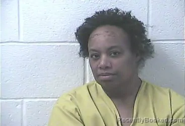 Recent Mugshot Image for MELISSA MONAE BRANDLE in Daviess County, Kentucky