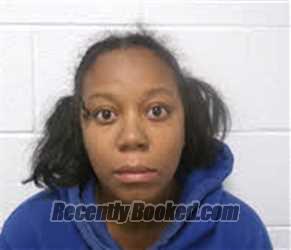 Recent Mugshot Image for ERIKA KRISTINA VANN in Macon County, North Carolina