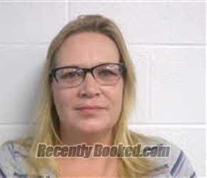 Recent Mugshot Image for THERESA BUSH in Macon County, North Carolina