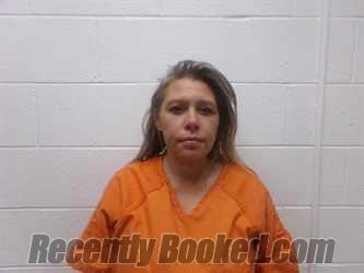 Recent Mugshot Image for SARAH ANN RICE in Grant County, Kentucky