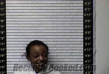 Recent Mugshot Image for MEGAN WILKEY in Graves County, Kentucky