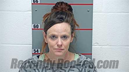 Recent Mugshot Image for NICKIE NICHOLE MISCHLER in Grayson County, Kentucky