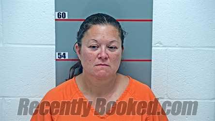 Recent Mugshot Image for CHRISTINA MARIE BRAKEBILL in Grayson County, Kentucky